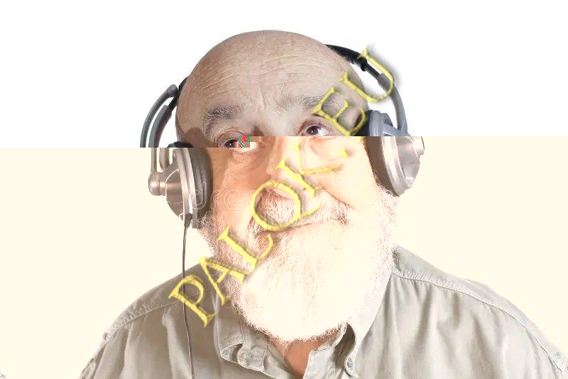 445513000_969620438503925_9085153580232655049_n.jpg